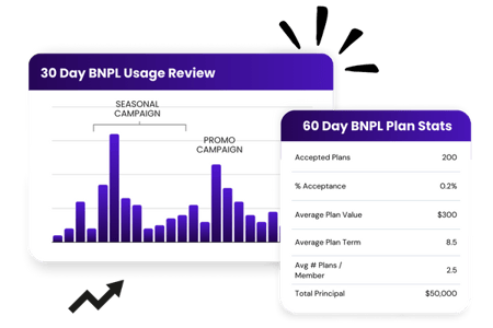BNPL_Usage_review-2