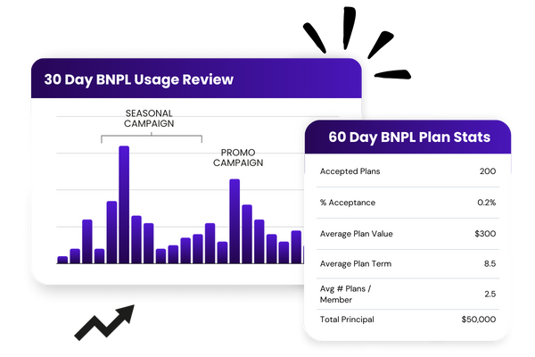 BNPL_Usage_review-2